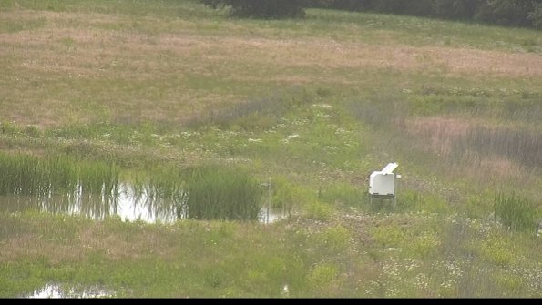 capture-12-22-06-09_16-07-51-39