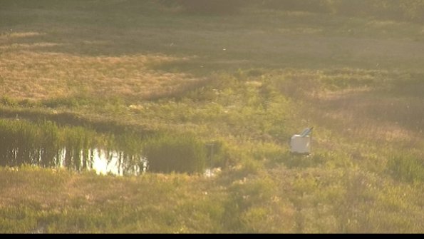 capture-12-22-06-09_20-17-26-40