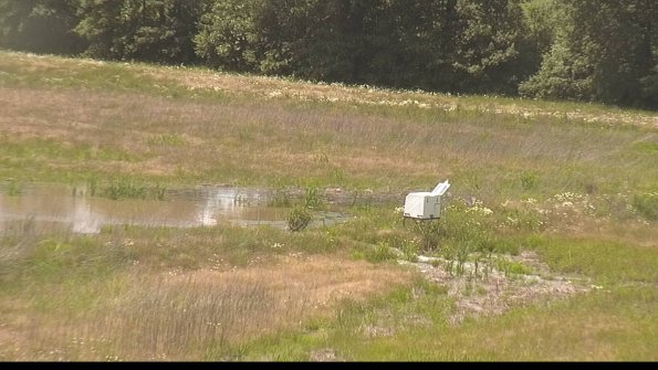 capture-13-22-06-09_15-05-55-39