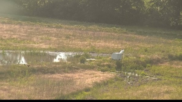 capture-13-22-06-09_19-15-30-63