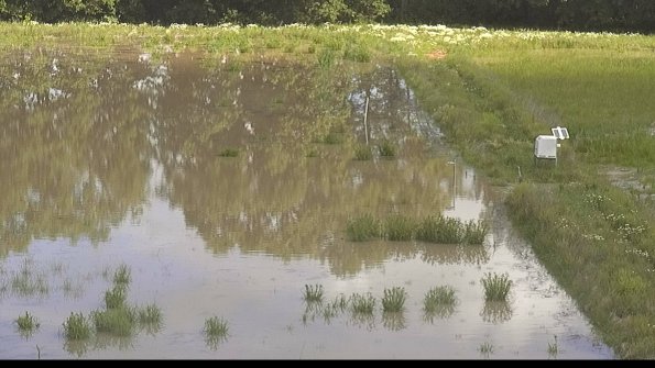 capture-14-22-06-09_09-54-28-31