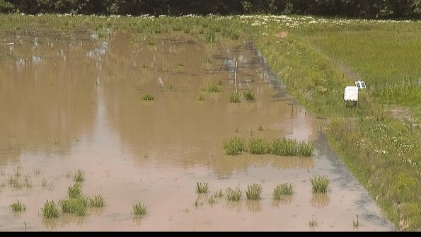 capture-14-22-06-09_14-04-00-39