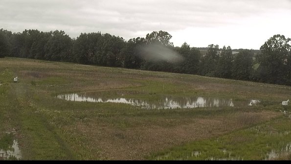 capture-4-22-06-09_08-51-24-24