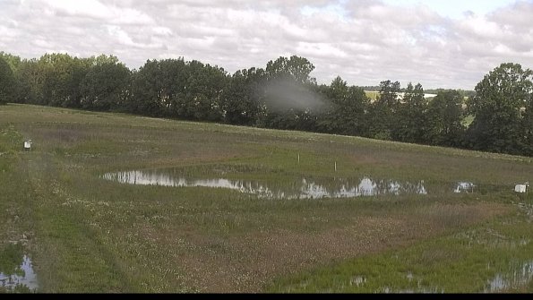 capture-4-22-06-09_09-53-46-30