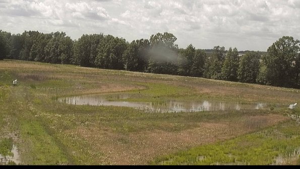 capture-4-22-06-09_15-05-41-27