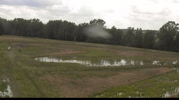 capture-4-22-06-09_16-08-06-27