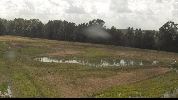 capture-4-22-06-09_17-10-30-23