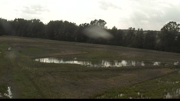 capture-4-22-06-09_18-12-53-19