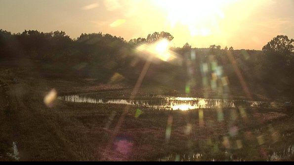 capture-4-22-06-09_20-17-40-28