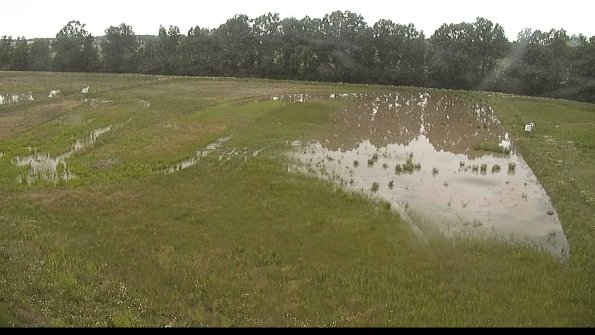 capture-6-22-06-09_08-51-51-34