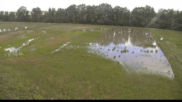 capture-6-22-06-09_11-59-02-29