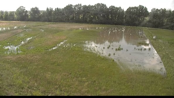 capture-6-22-06-09_17-10-57-46