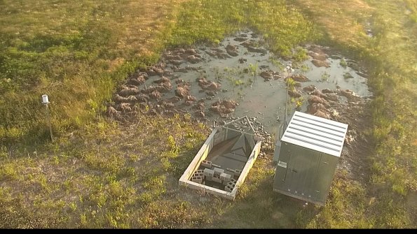 capture-9-22-06-09_20-18-52-52