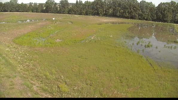 capture-1-22-06-10_09-50-12-43