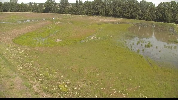 capture-1-22-06-10_10-52-32-49