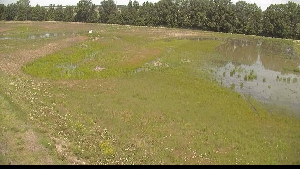 capture-1-22-06-10_11-54-55-42