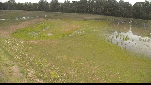 capture-1-22-06-10_12-57-19-31