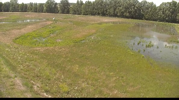 capture-1-22-06-10_15-02-06-53