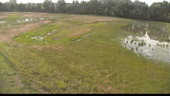 capture-1-22-06-10_18-09-17-33