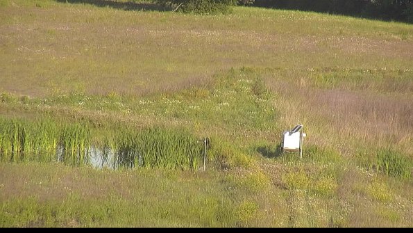 capture-12-22-06-10_07-43-46-48