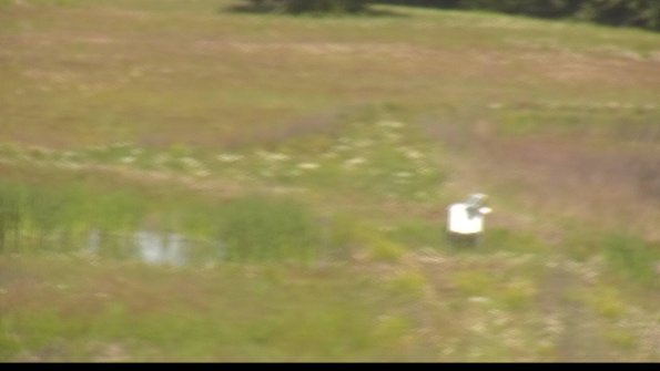 capture-12-22-06-10_09-48-33-40