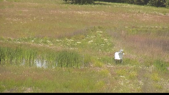 capture-12-22-06-10_10-50-54-35