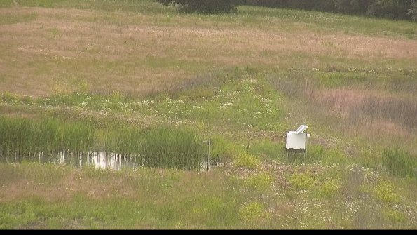 capture-12-22-06-10_19-10-03-23