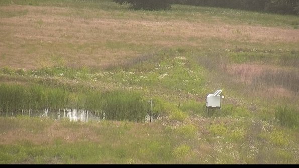 capture-12-22-06-10_20-12-26-45