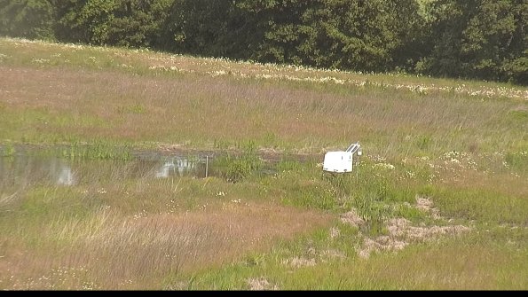 capture-13-22-06-10_10-51-22-35