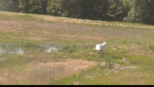 capture-13-22-06-10_15-00-55-46