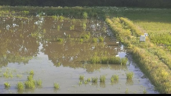 capture-14-22-06-10_07-44-43-43