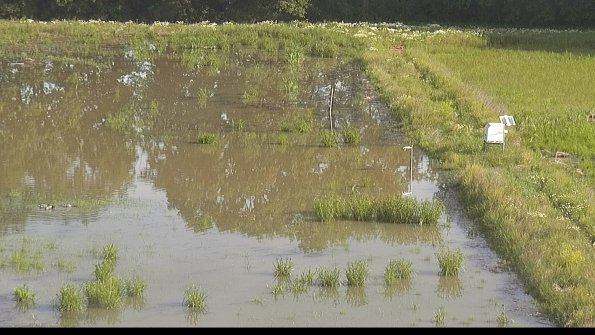 capture-14-22-06-10_08-47-06-33