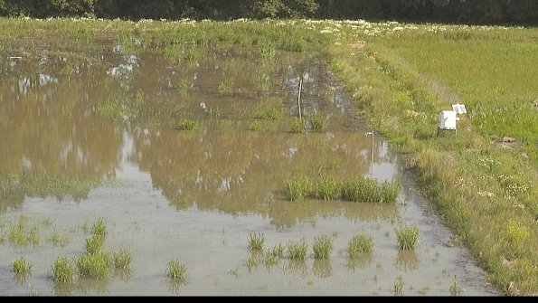 capture-14-22-06-10_09-49-30-36