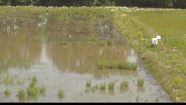 capture-14-22-06-10_10-51-50-38