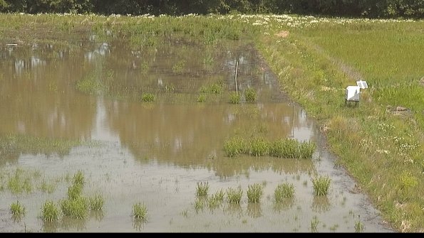 capture-14-22-06-10_11-54-13-41