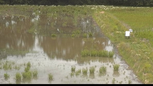 capture-14-22-06-10_12-56-38-27