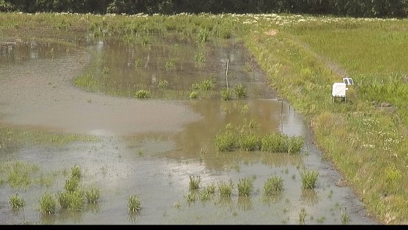 capture-14-22-06-10_15-01-24-28