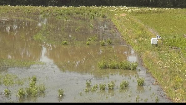 capture-14-22-06-10_16-03-47-31