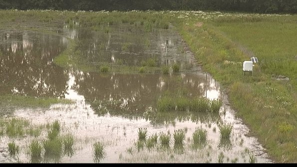 capture-14-22-06-10_19-11-00-25