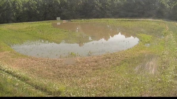 capture-15-22-06-10_09-49-44-34