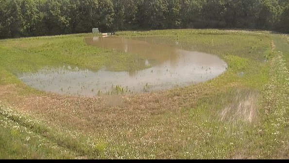 capture-15-22-06-10_10-52-05-29