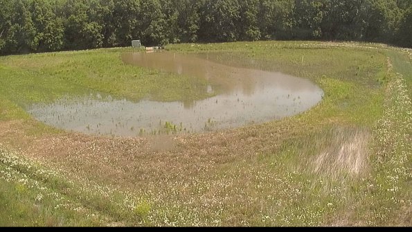 capture-15-22-06-10_11-54-27-45