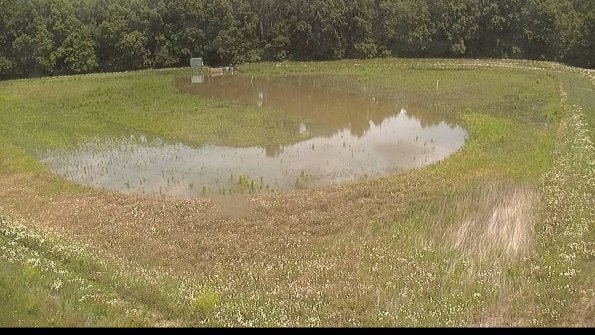 capture-15-22-06-10_12-56-51-95