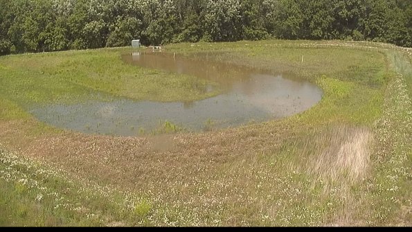 capture-15-22-06-10_15-01-38-40