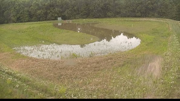 capture-15-22-06-10_19-11-13-43