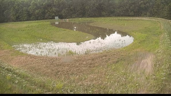 capture-15-22-06-10_20-13-37-53