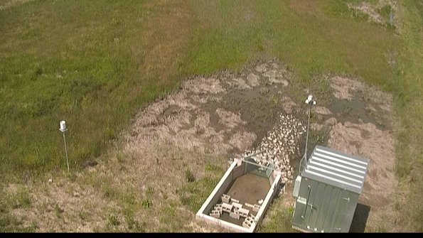 capture-3-22-06-10_11-53-02-30