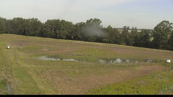 capture-4-22-06-10_08-46-25-19