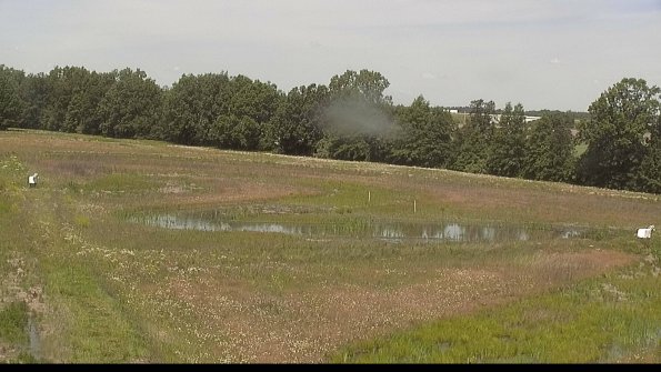 capture-4-22-06-10_11-53-31-37