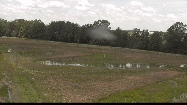 capture-4-22-06-10_12-55-54-39